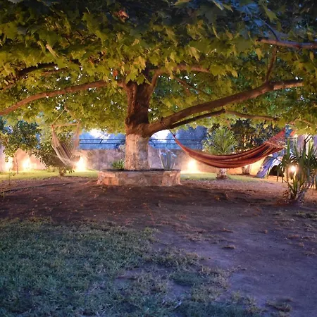 Willa Family Kalypso *