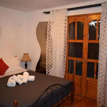 Willa Family Kalypso *